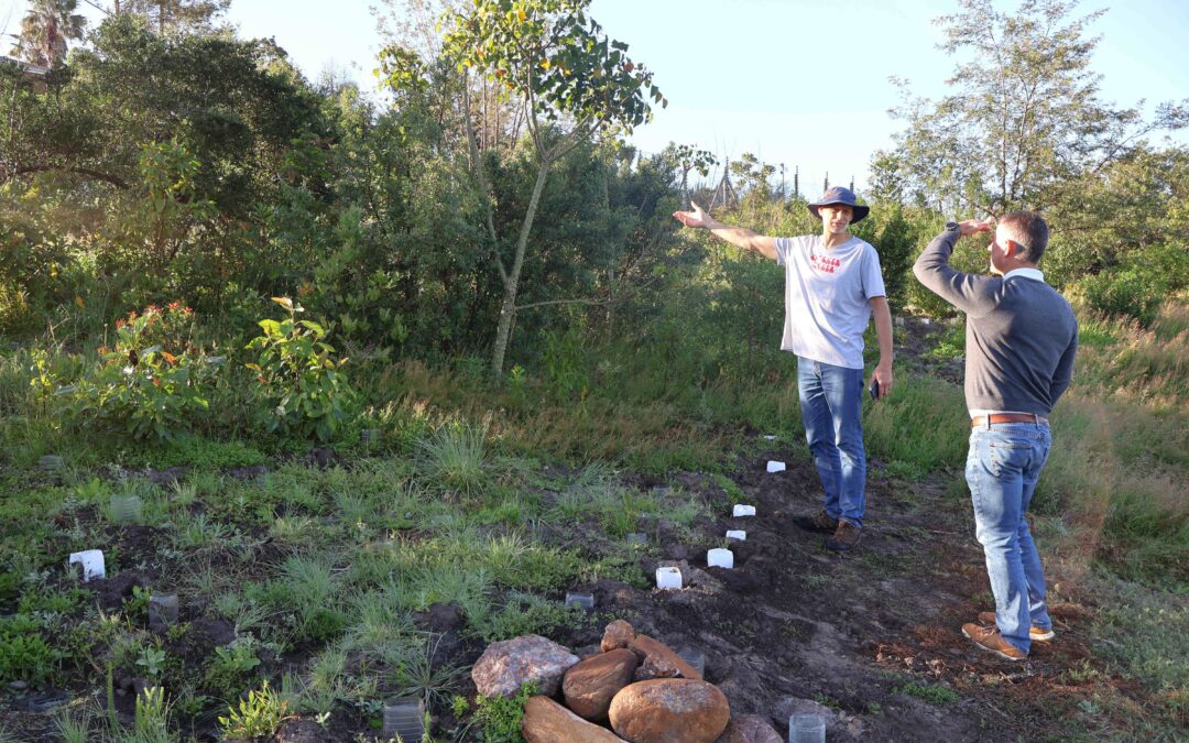 Putting the wood back in Kingswood