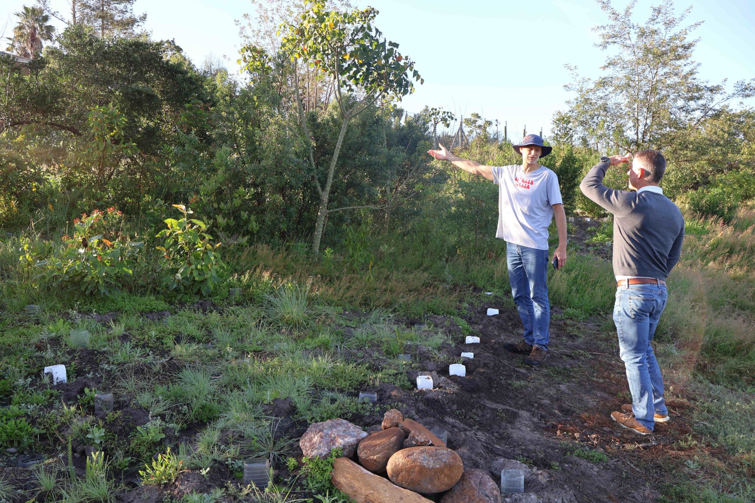 Albert showing Operations Manager Piet van Heerden the Coral tree already towering over the other saplings indigenous trees pocket forest miyawaki method kingswood golf estate